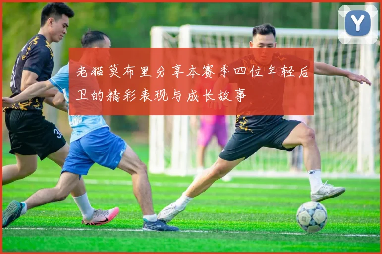 老猫莫布里分享本赛季四位年轻后卫的精彩表现与成长故事