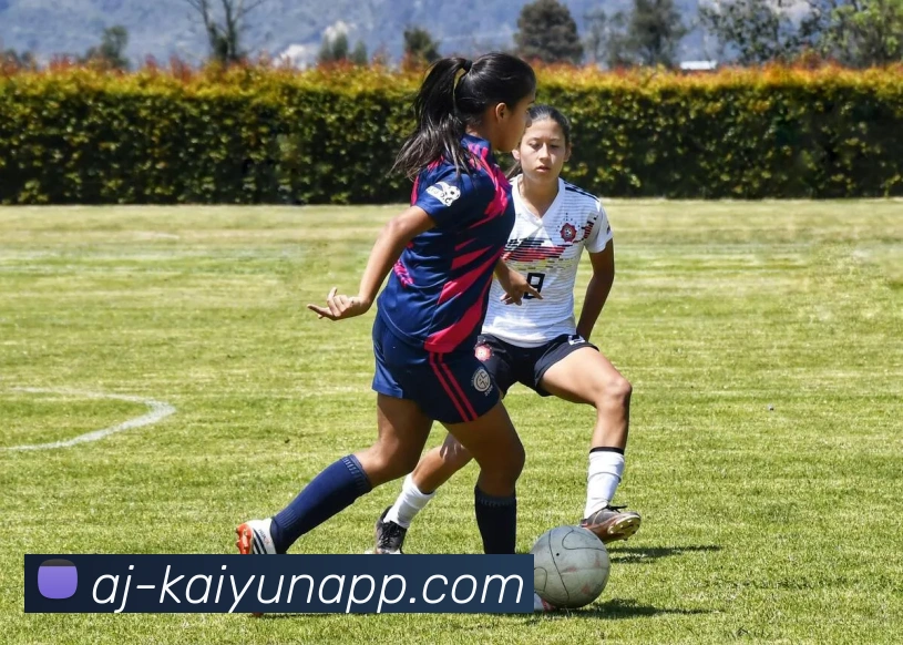 开云体育品牌故事